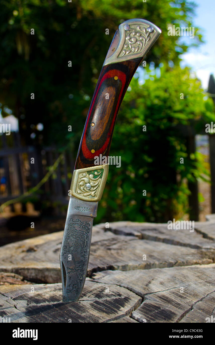 Ornately decorated pocket knife in tree stump Stock Photo