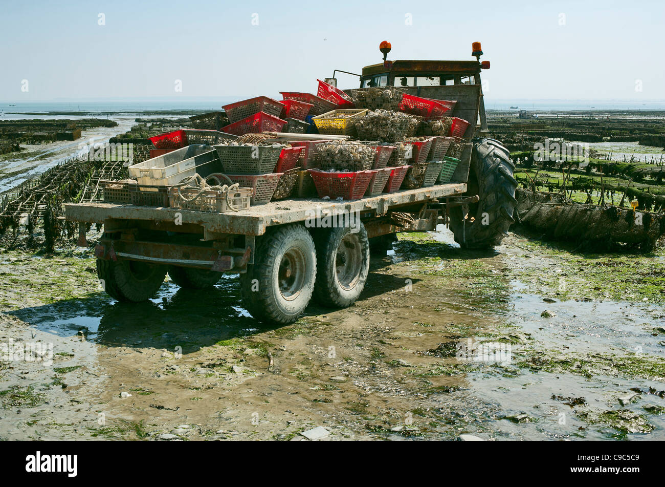 Oyster delivery tractor and trailer, Cancale, Brittany, France, Europe