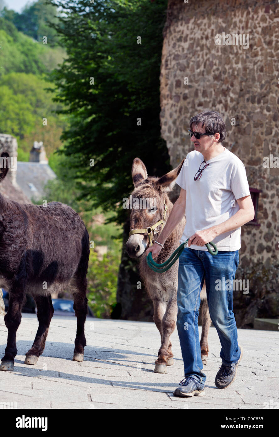'Donkey, Normandy, France, Europe Stock Photo