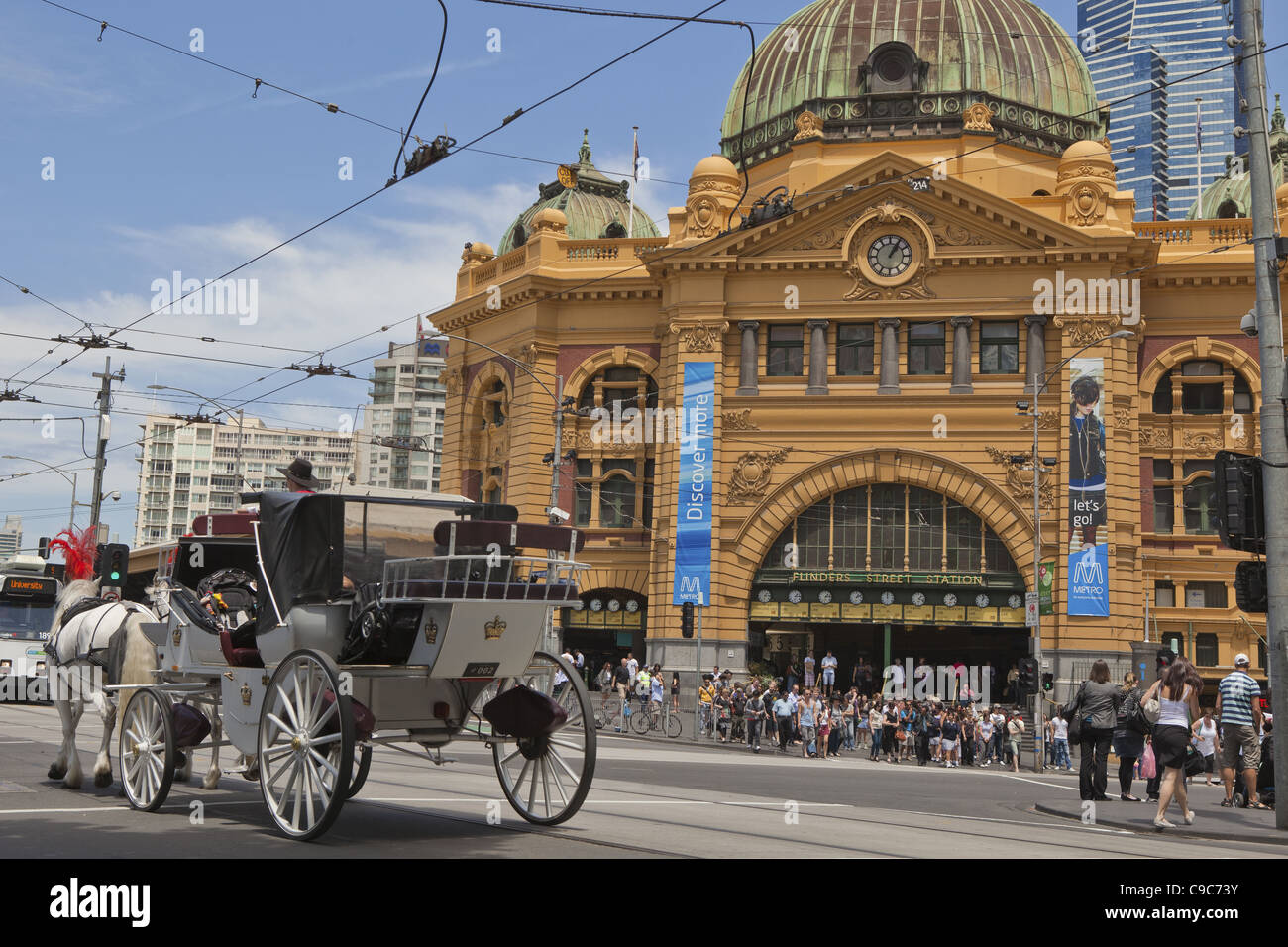 Sunny Melbourne day on the City public transport systems. shot of horse