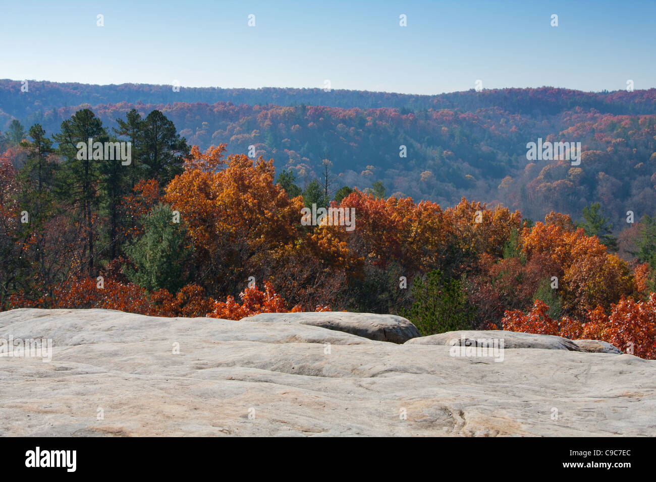 Fall color from an overlook at Big South Fork National Park Stock Photo