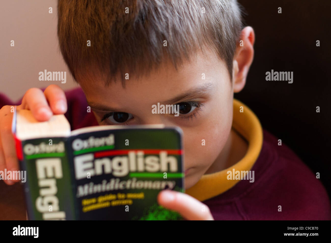Child reading an oxford English Dictionary in School uniform home schooling during the Corona virus. Stock Photo