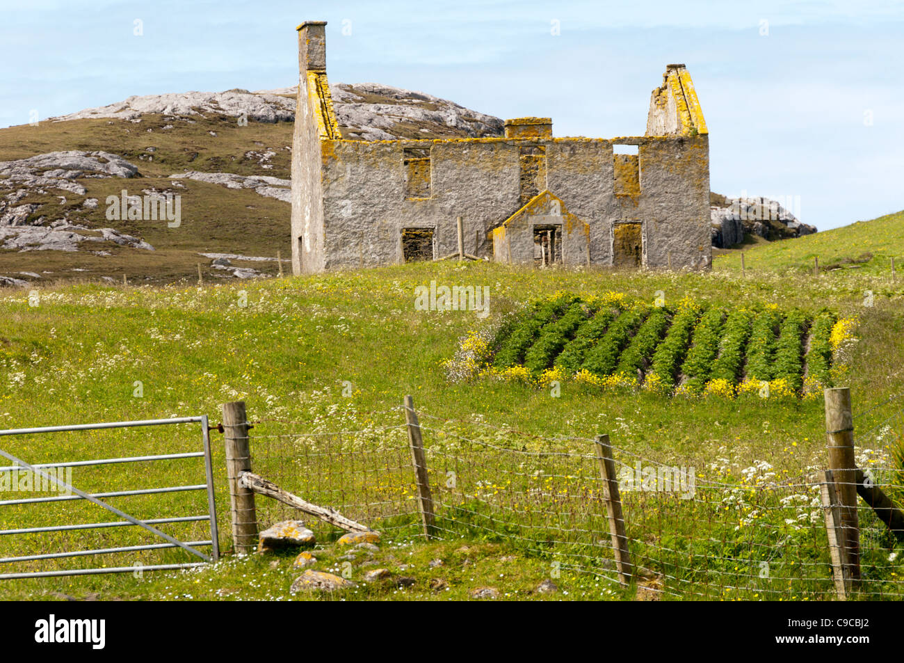 Lazy Beds in front of a ruined and abandoned farmhouse on Vatersay in the Outer Hebrides. Stock Photo