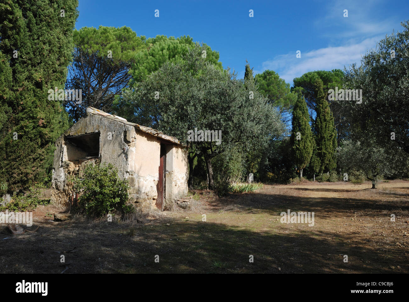 A derelict hut in the olive grove at Chateau de Lourmarin, Lourmarin, Provence, France. Stock Photo