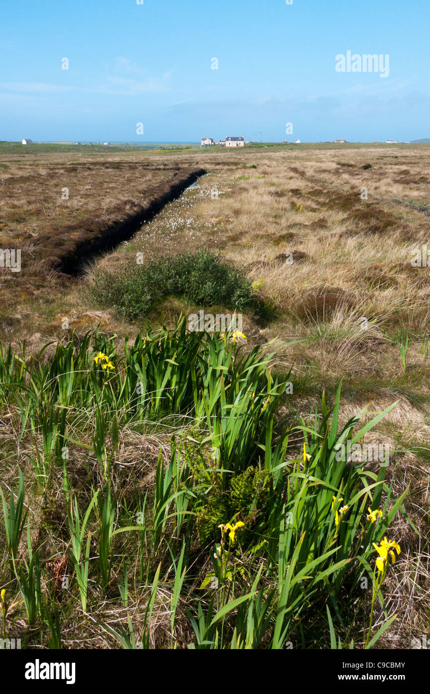 Peat cutting on the Hebridean island of South Uist. Stock Photo