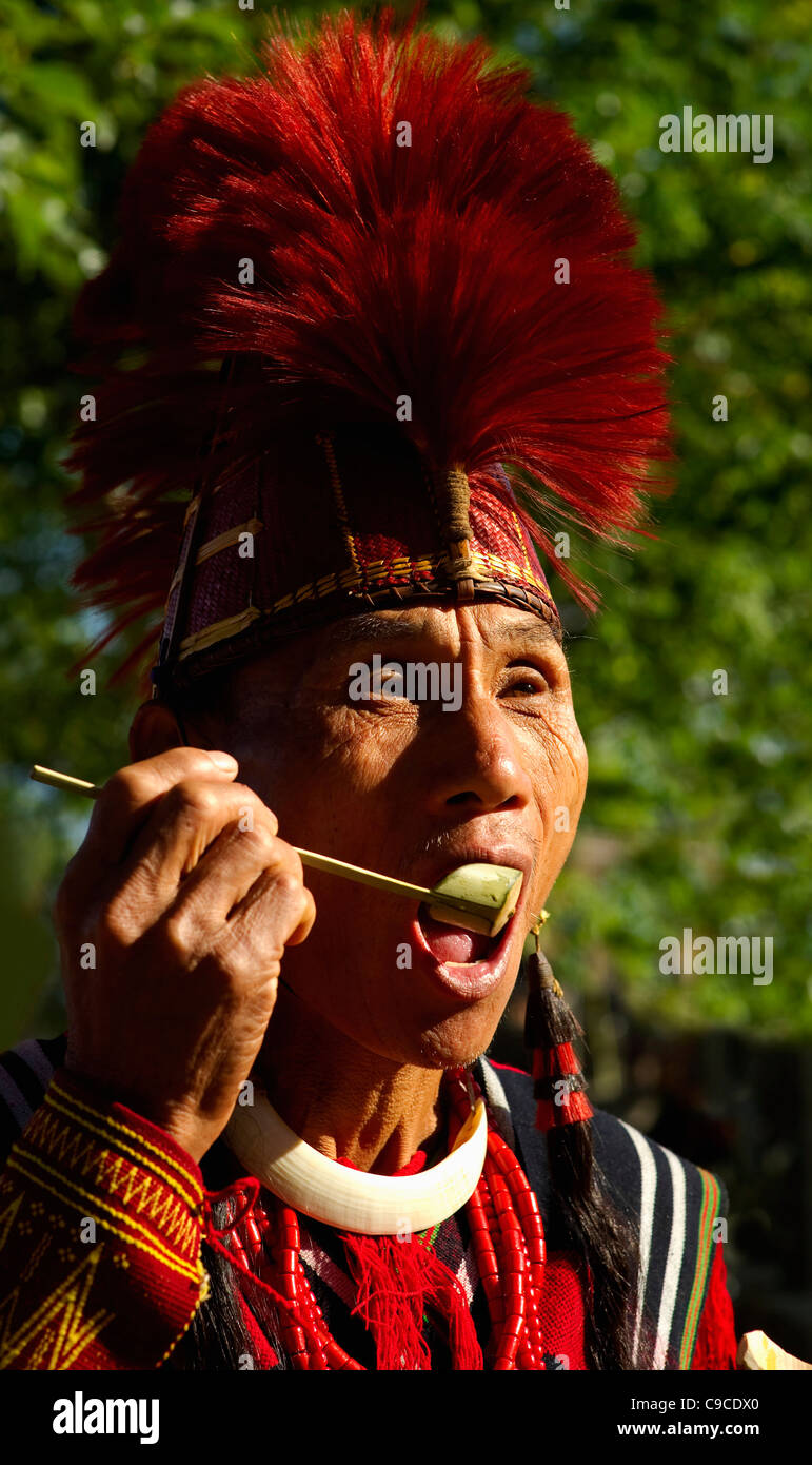 India, South Asia, Nagaland, Naga Warrior tribe man in traditional ...