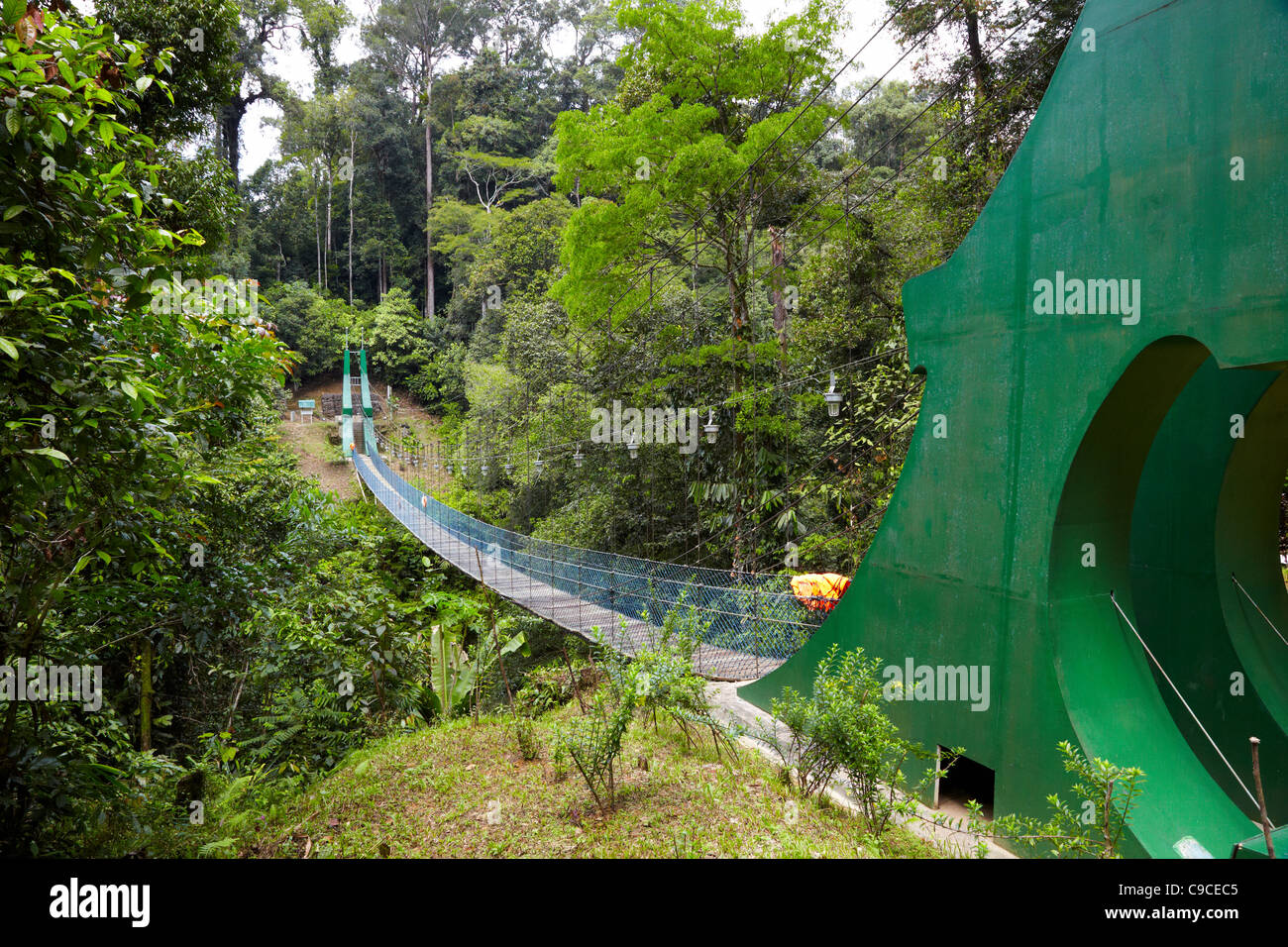 Ulu Temburong National Park Brunei Darussalam