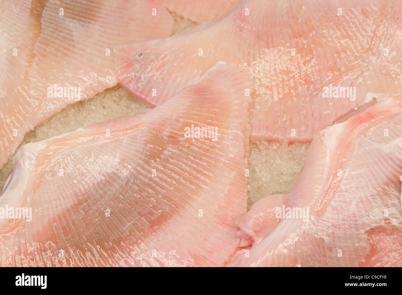 skate wings skatewings fresh fish on ice wing Stock Photo