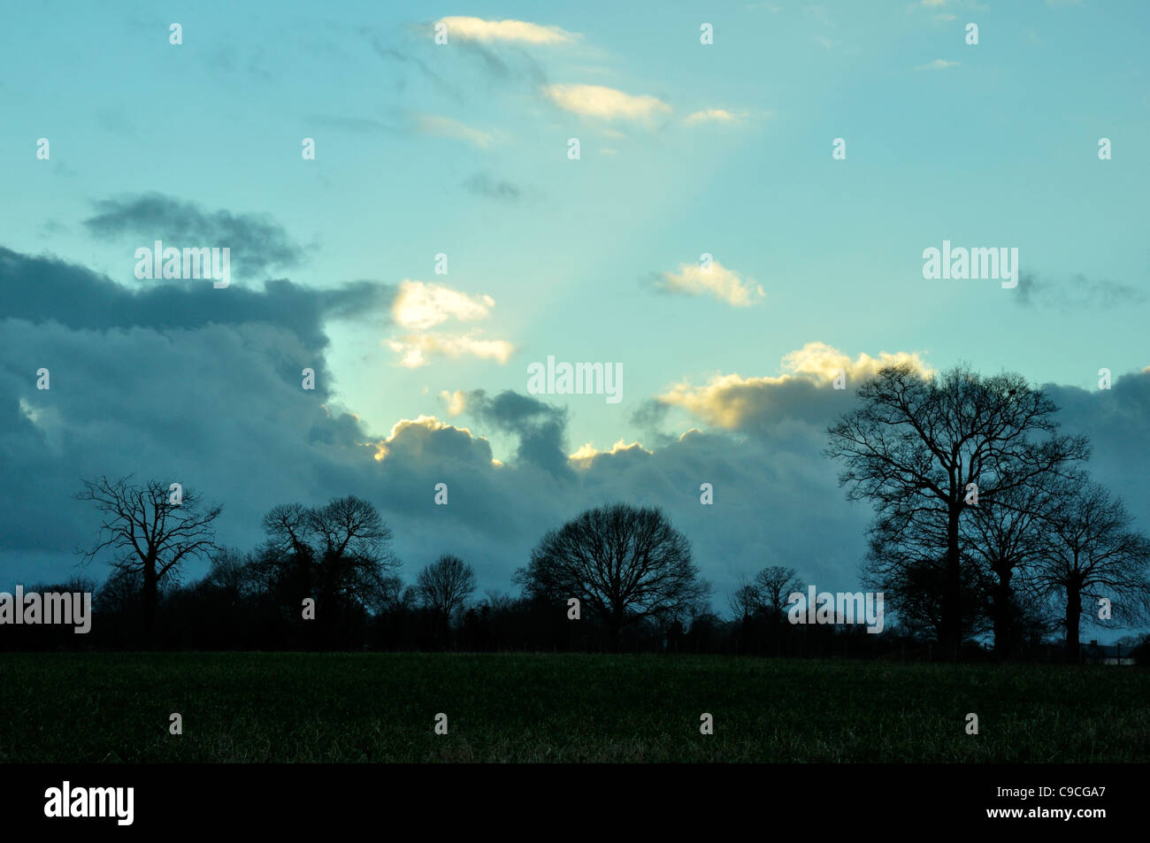 Heavy sky on the grove with stratocumulus in  winter (north Mayenne, Loire country, France, Europe). Stock Photo