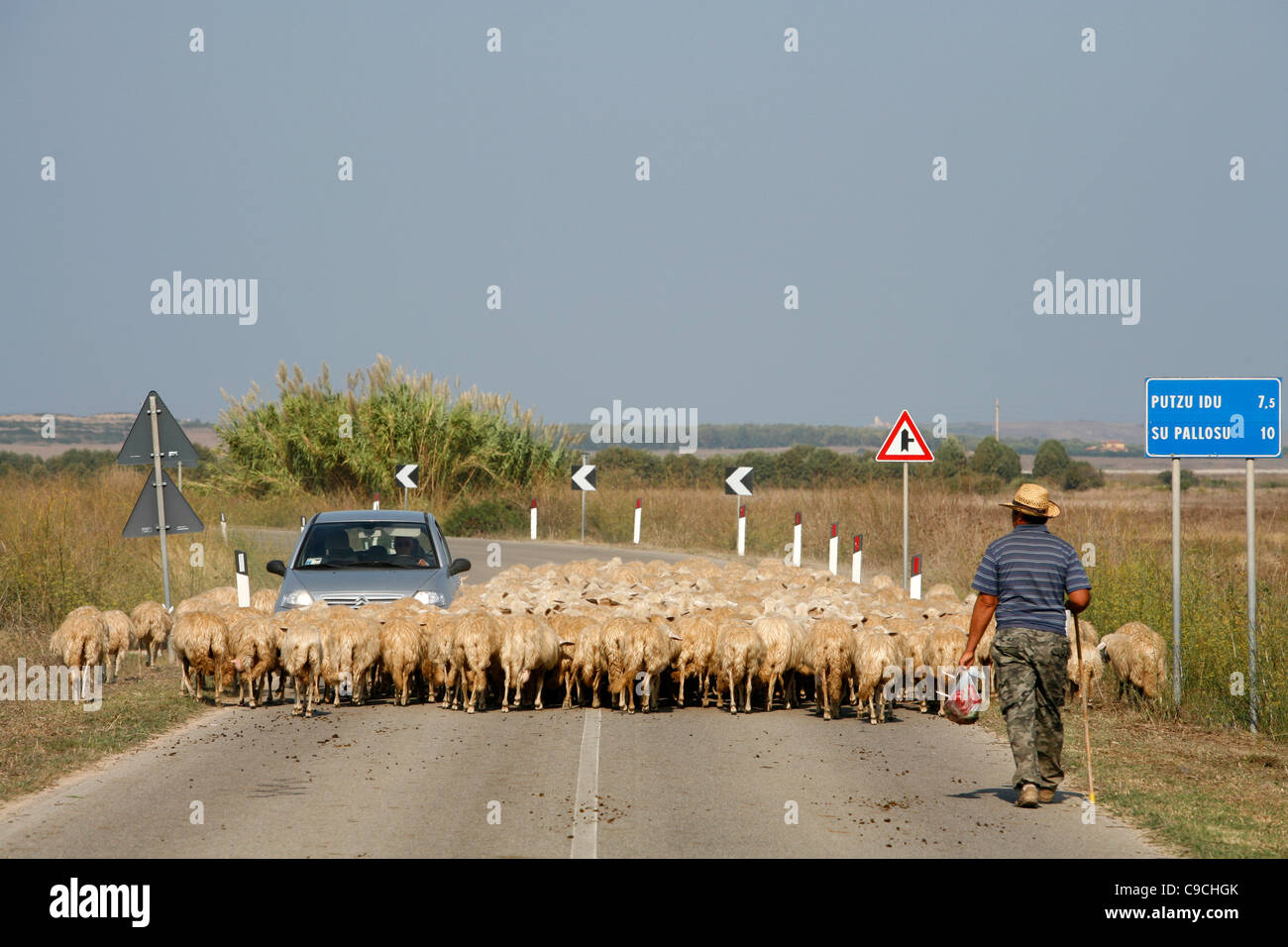 Sheep herder in the west coast ,Sardinia, Italy. Stock Photo