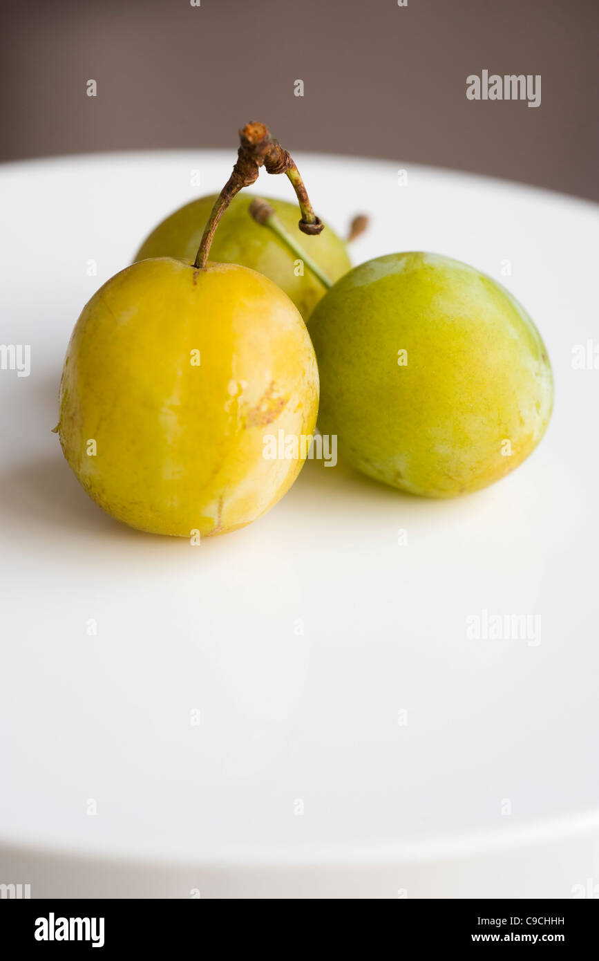 Mirabelle plums Stock Photo
