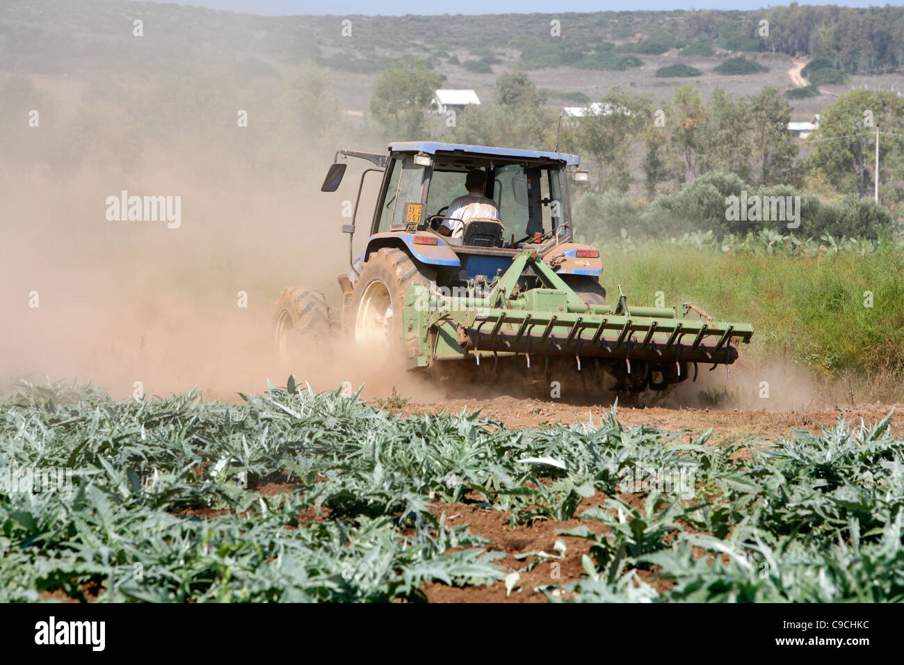 Tracktor working in a field at the Sinis Peninsula, Sardinia, Italy. Stock Photo