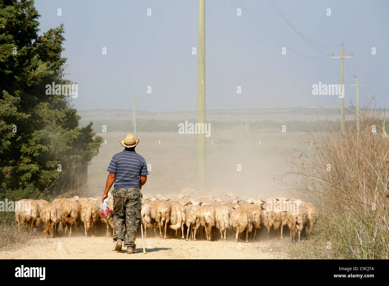 Sheep herder in the west coast ,Sardinia, Italy. Stock Photo