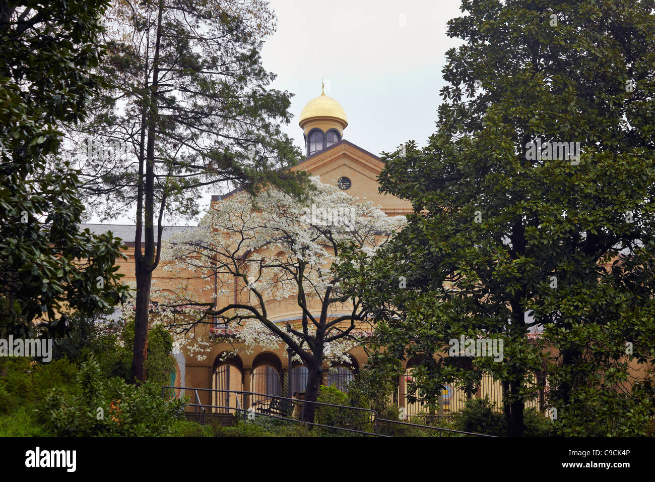 Looking up to the Franciscan Monastery from the grotto down the hill, Washington, DC. Stock Photo