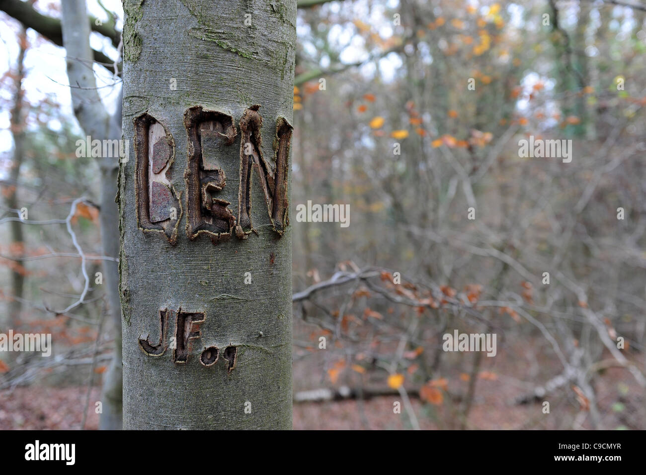 Name carved tree trunk hires stock photography and images Alamy