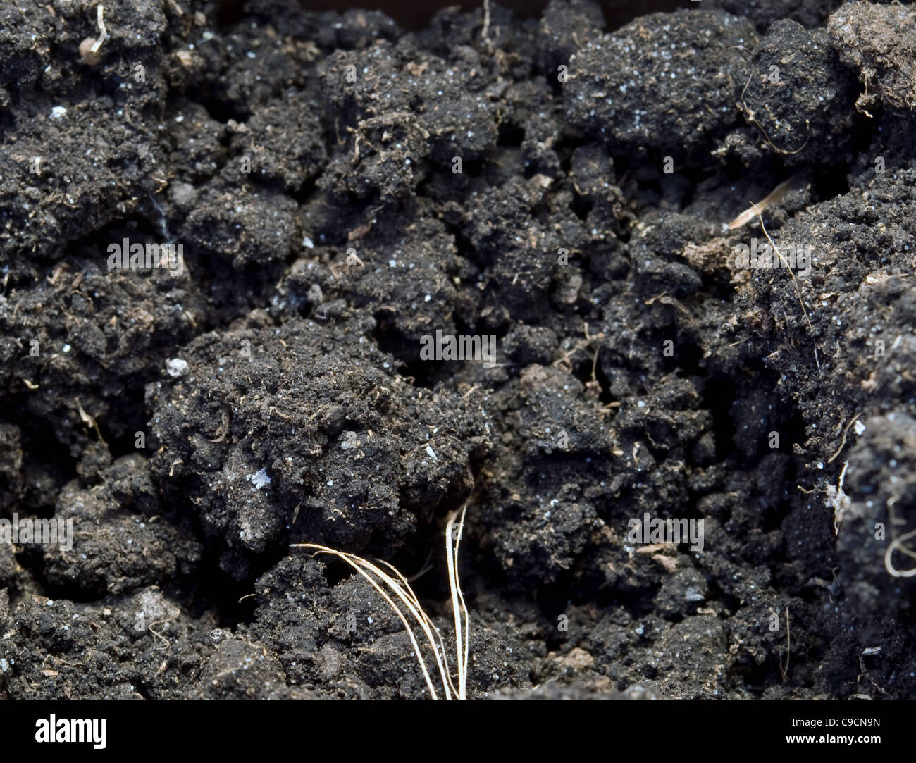 close up of soil and compost mix. Stock Photo