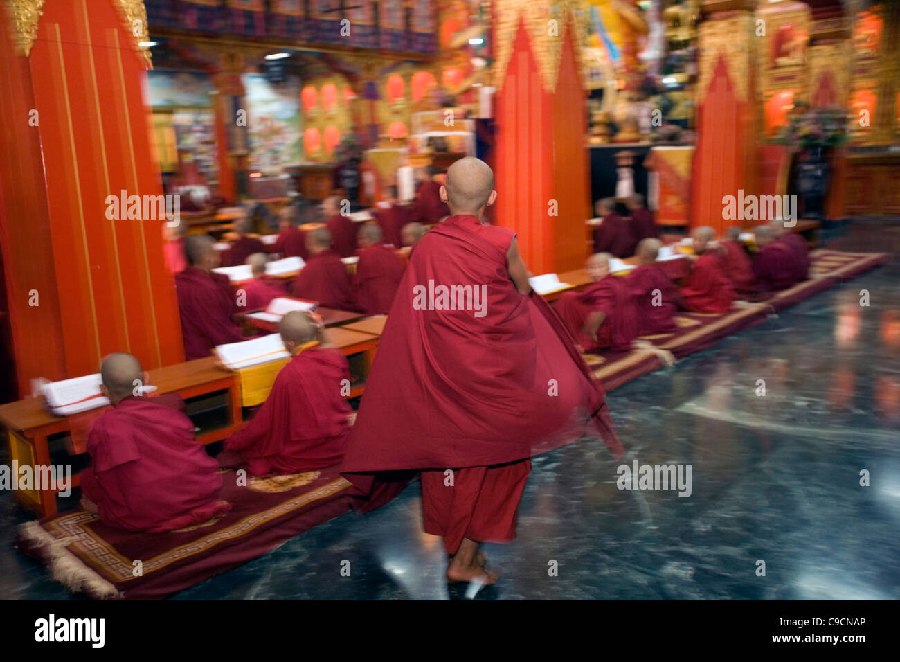 Buddhist monks reading and chanting sutras at the Vajra Vidya Institute for Buddhist studies in Sarnath, India Stock Photo