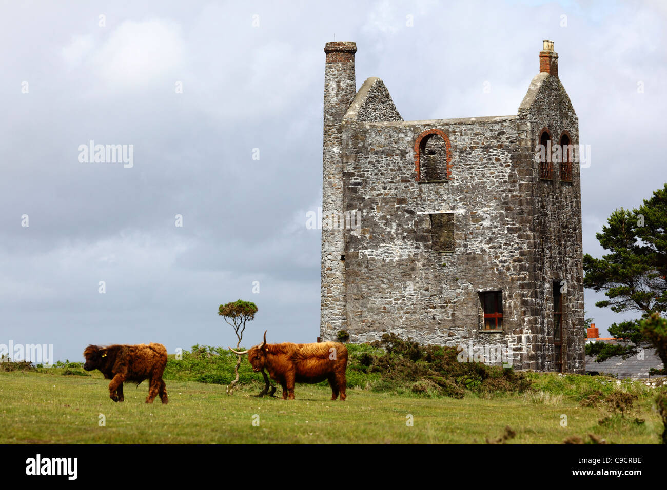 Engine House of the South Phoenix tin mine, (now the Minions Heritage