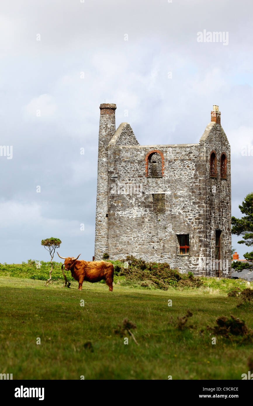 Minions visitor centre hires stock photography and images Alamy
