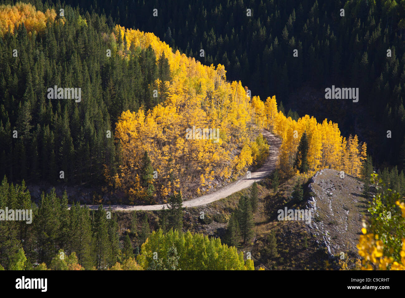 Autumn color along the Million Dollar Highway (US 550) portion of the San Juan Skyway Scenic Byway in Colorado overlooking the Lime Creek Road. Stock Photo