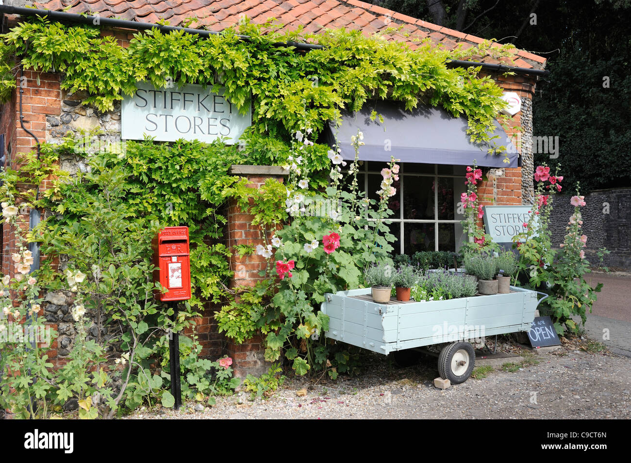 Traditional Village shop with hollyhocks and plants for sale, Stiffkey Norfolk, July Stock Photo