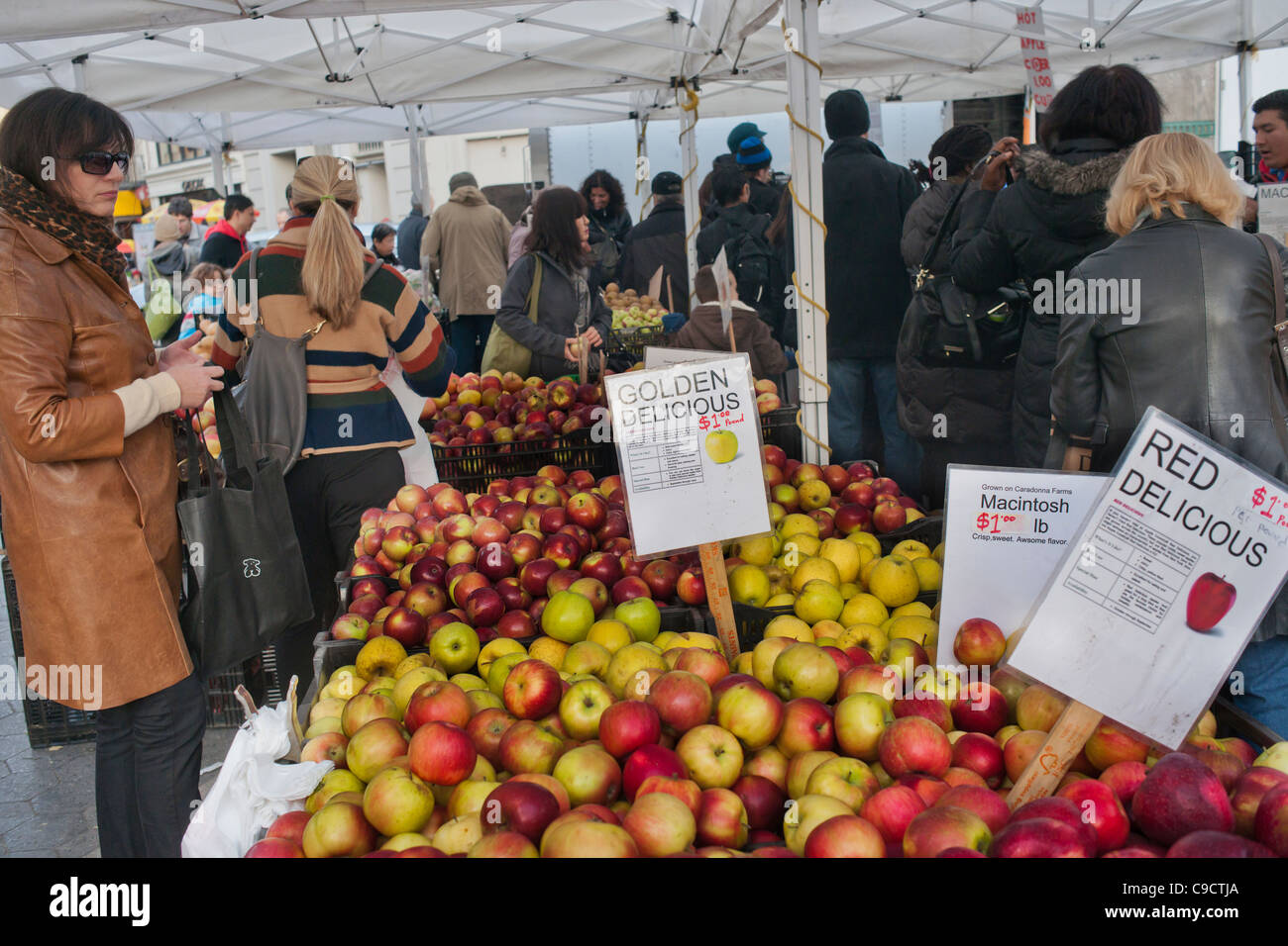 Apples for sale in the Union Square Greenmarket in New York on Saturday, November 19, 2011 (© Richard B. Levine) Stock Photo