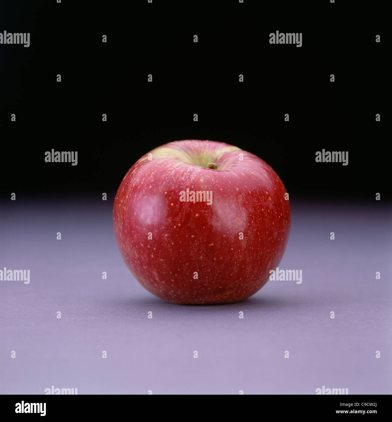 Stamen Winesap apple. Stock Photo