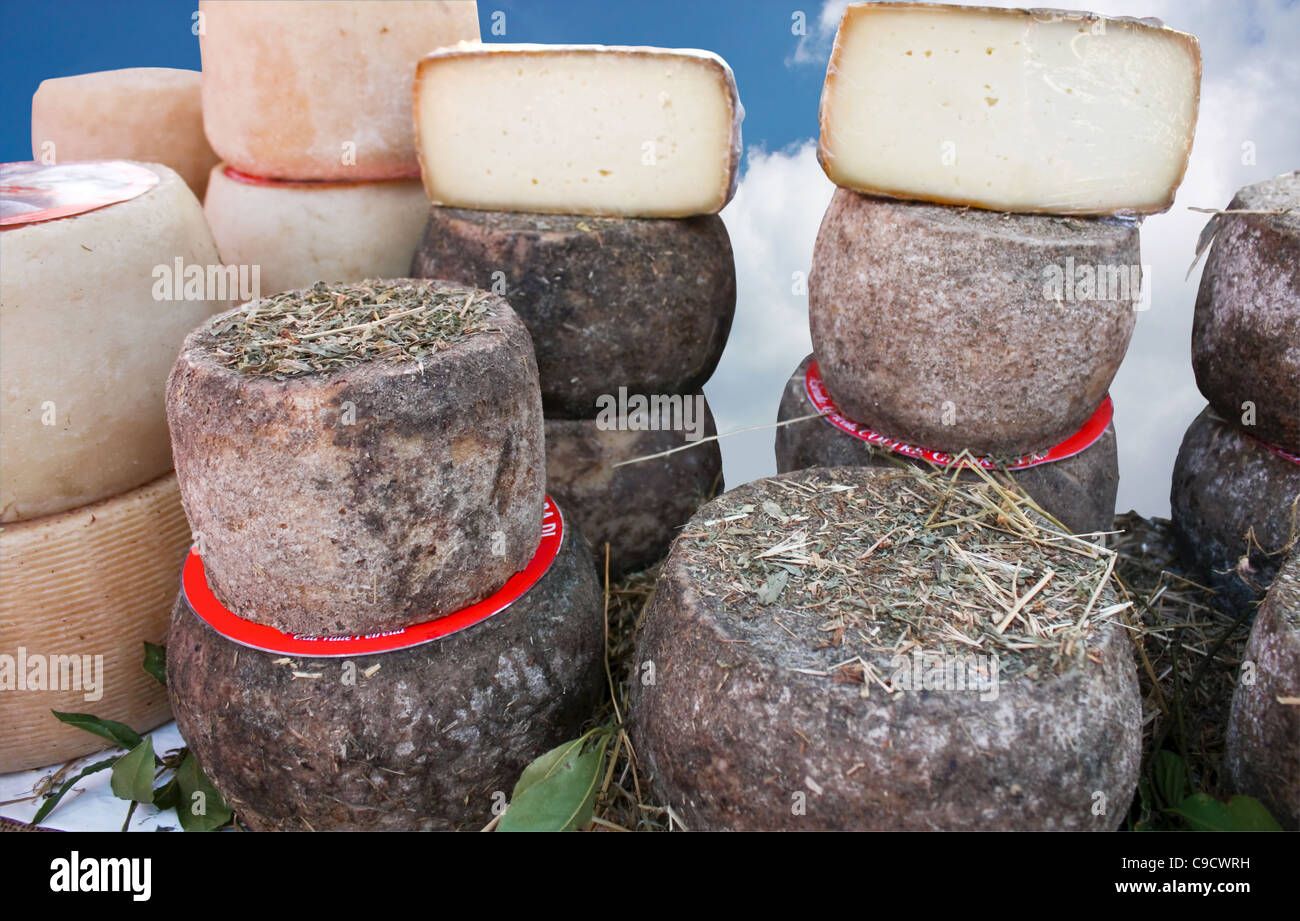 Italian Fossa cheese in the market. Stock Photo