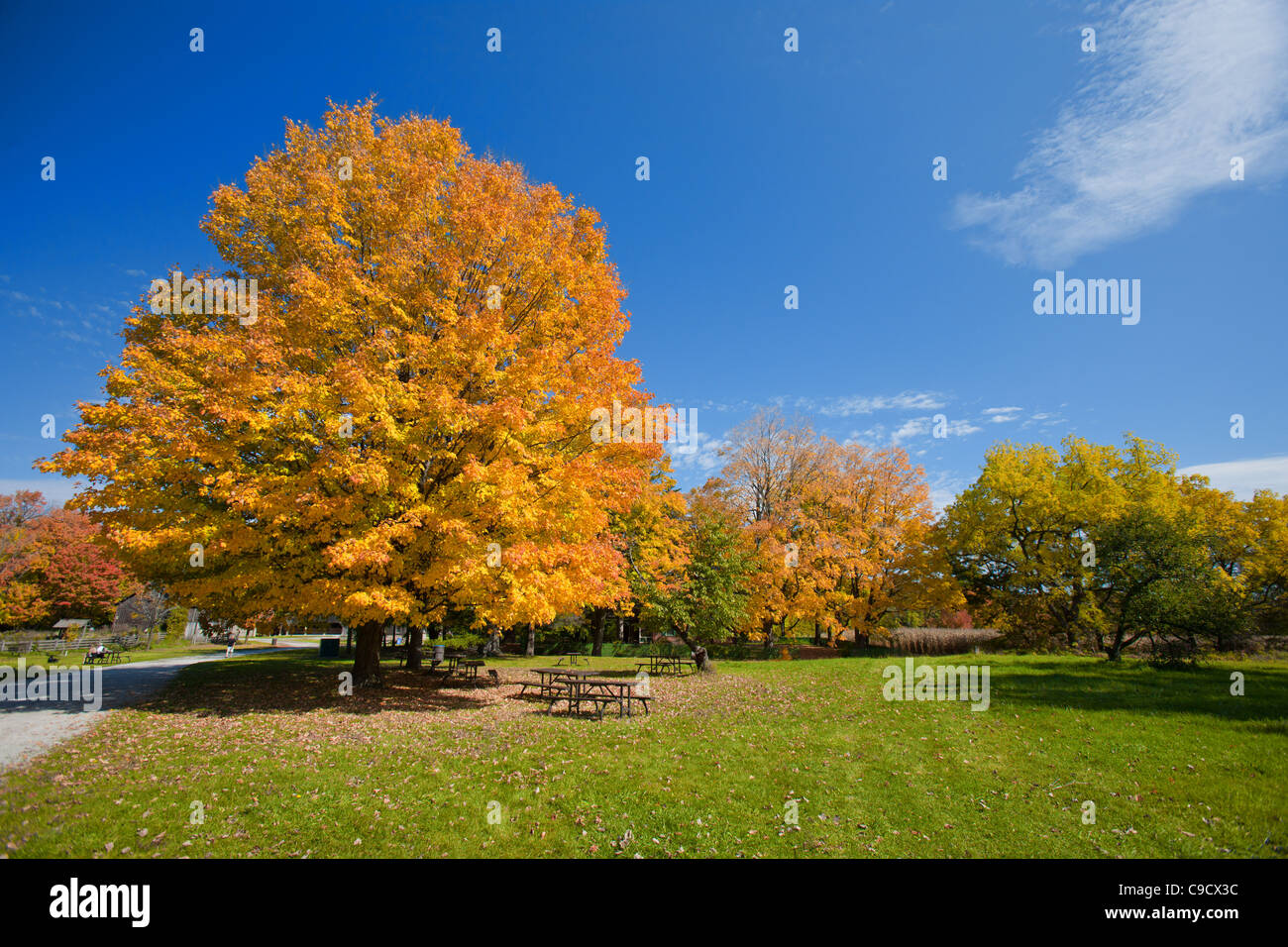 The Colors of Autumn Stock Photo - Alamy