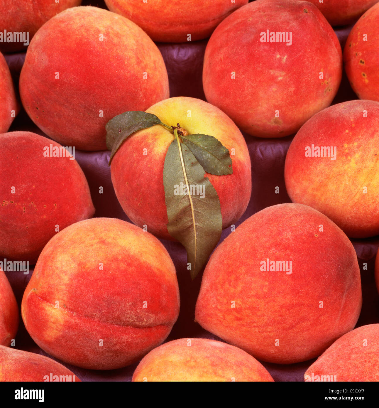 Ruston Red Peach, half Stock Photo Alamy