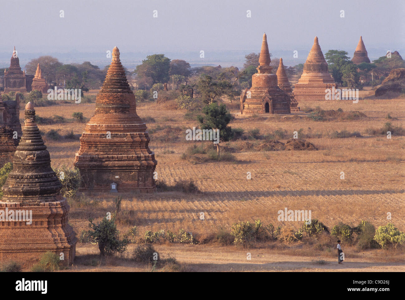 Stupa Temples of Bagan(Pagan) Stock Photo