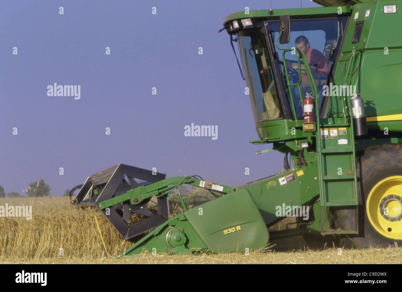 Tractor harvesting a wheat field Stock Photo - Alamy