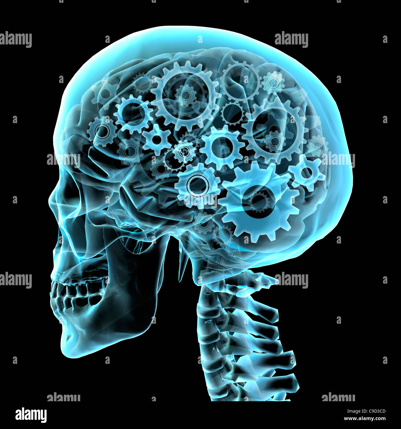 Brain with gears, Digitally Generated Image by Hank Grebe Stock Photo