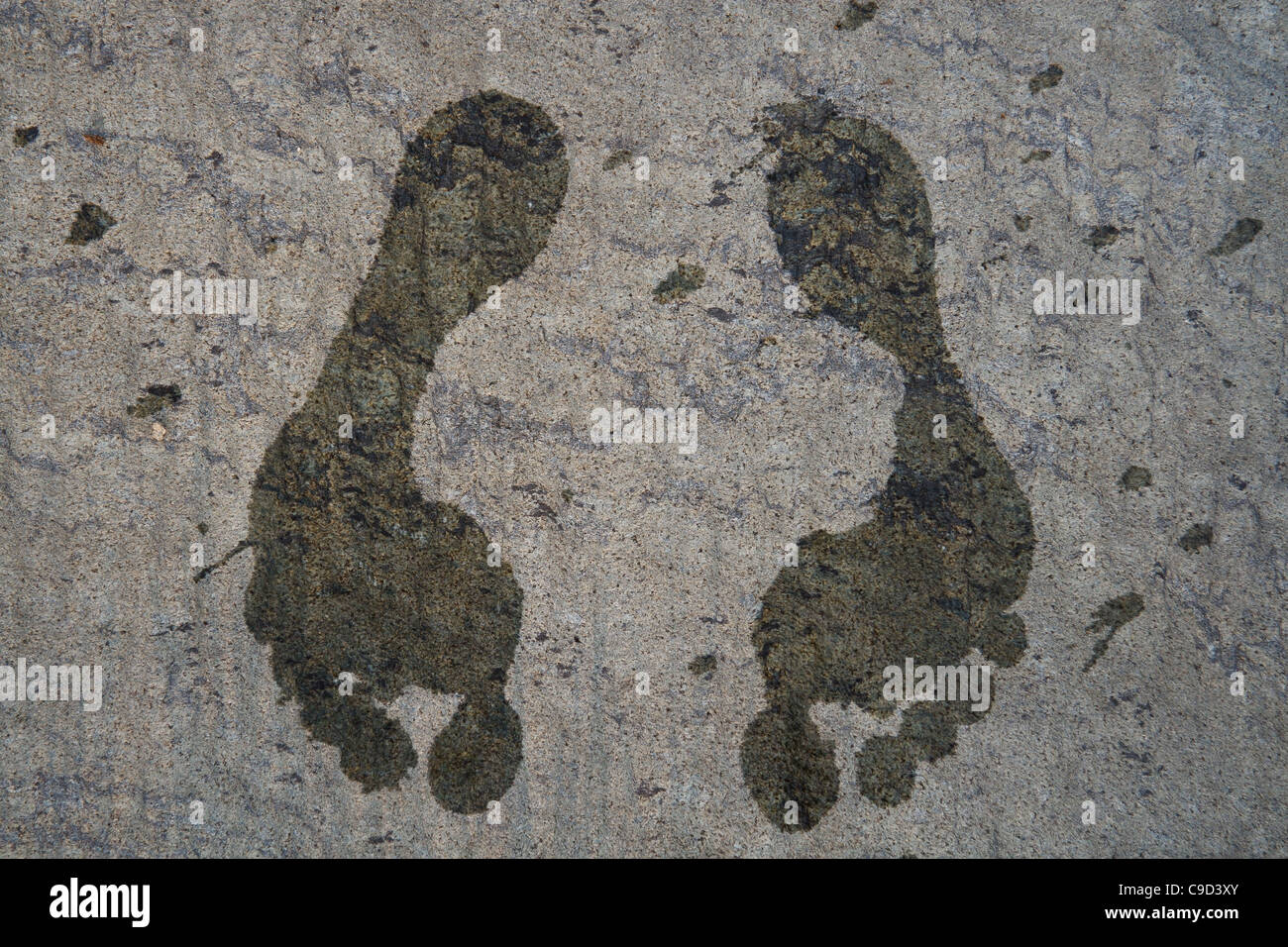 Wet footprint on a concrete pavement. Stock Photo