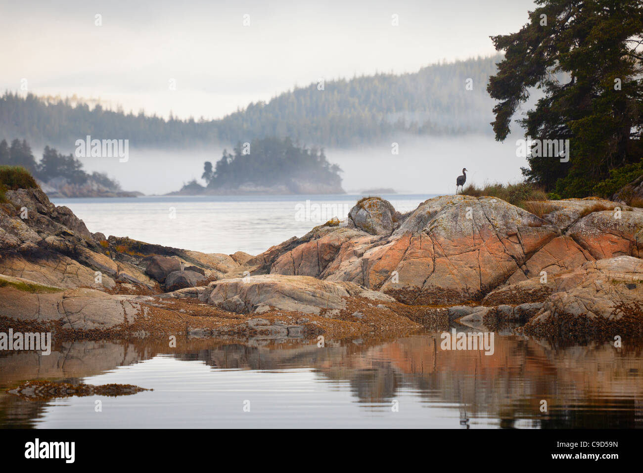 Rock formations in a strait, Village Island, British Columbia, Canada Stock Photo