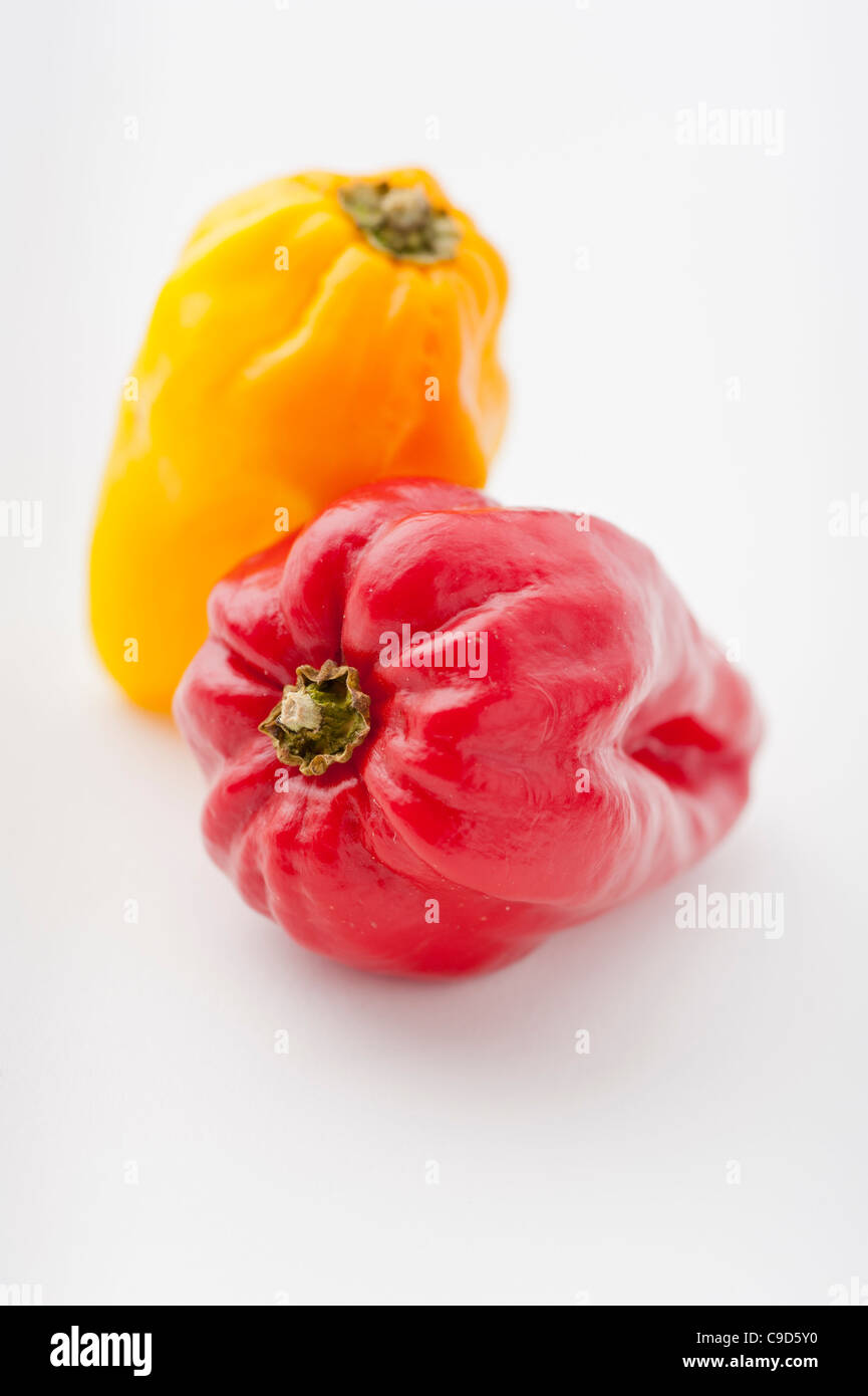 Close Up of two chili peppers Stock Photo