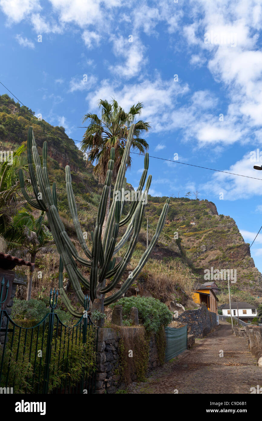 Ruin on a steep slope, near Calhau das Achadas, Madeira, Portugal Stock  Photo - Alamy
