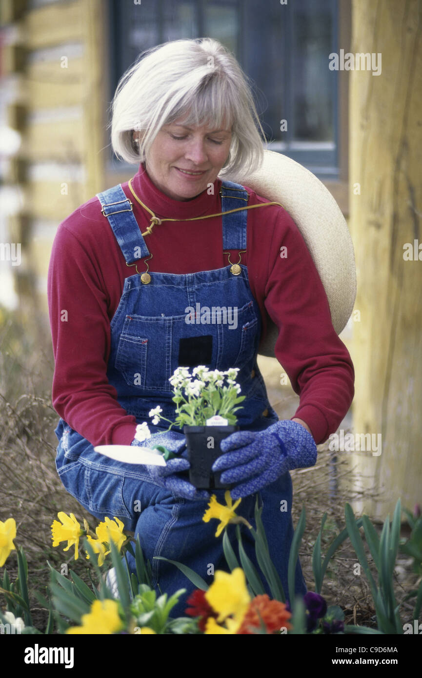 Senior woman gardening Stock Photo - Alamy