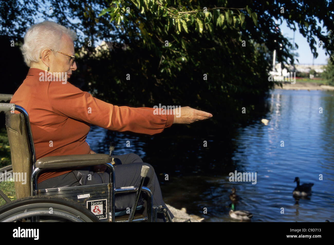 Side profile of a senior woman in a wheelchair Stock Photo Alamy
