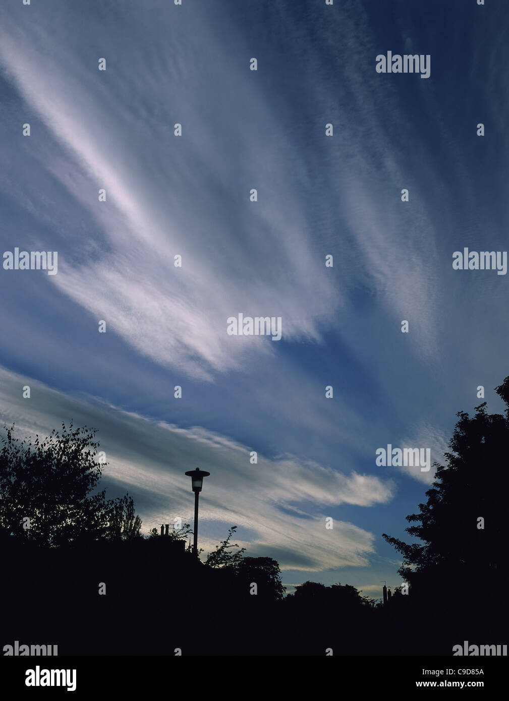 Silhouette trees in clouds hi-res stock photography and images - Alamy