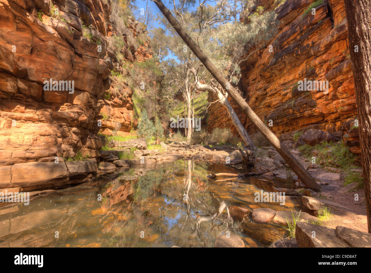 Alligator Gorge in Mount Remarkable National Park near Wilmington in the southern Flinders Ranges Stock Photo
