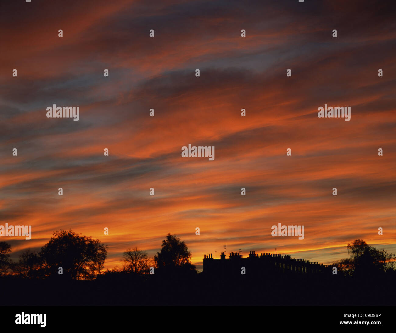 Silhouette of trees during sunset Stock Photo - Alamy