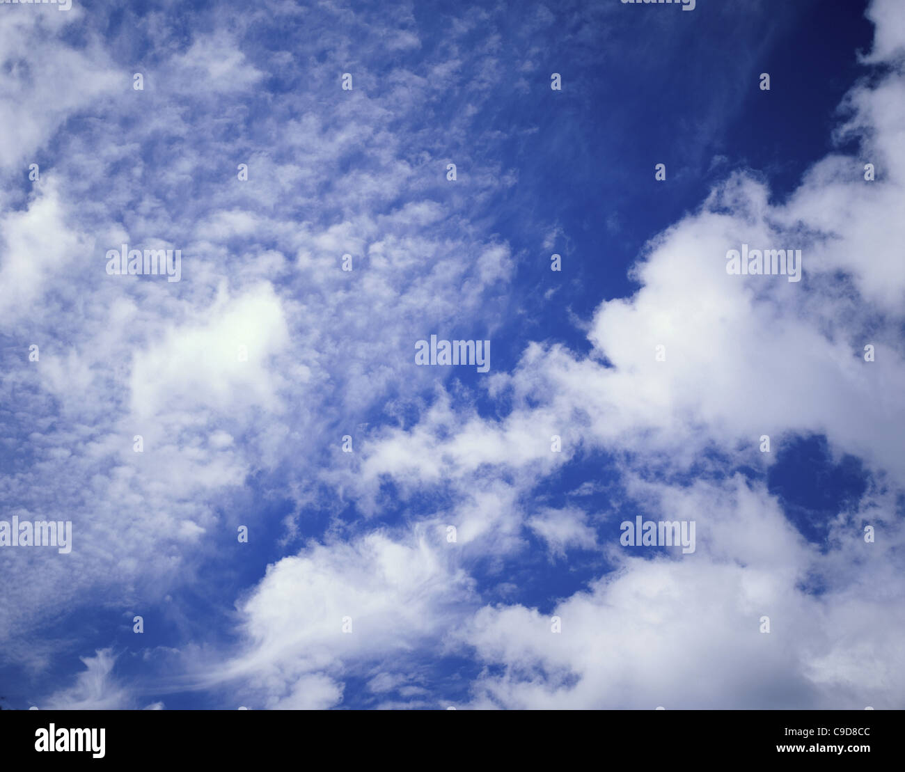 Cumulus clouds in a blue sky Stock Photo - Alamy