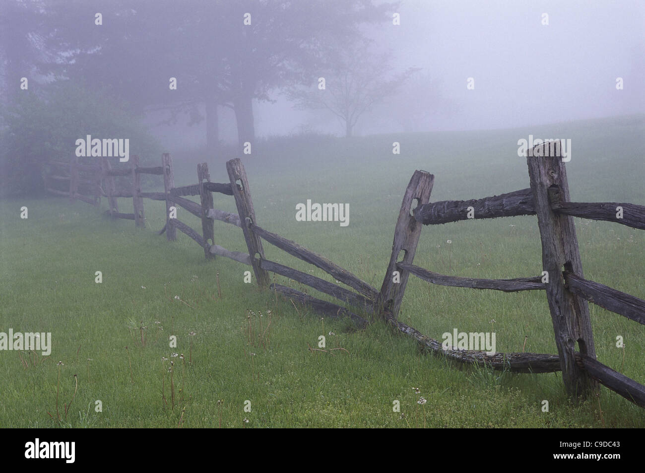 Wooden fence in a field Stock Photo - Alamy