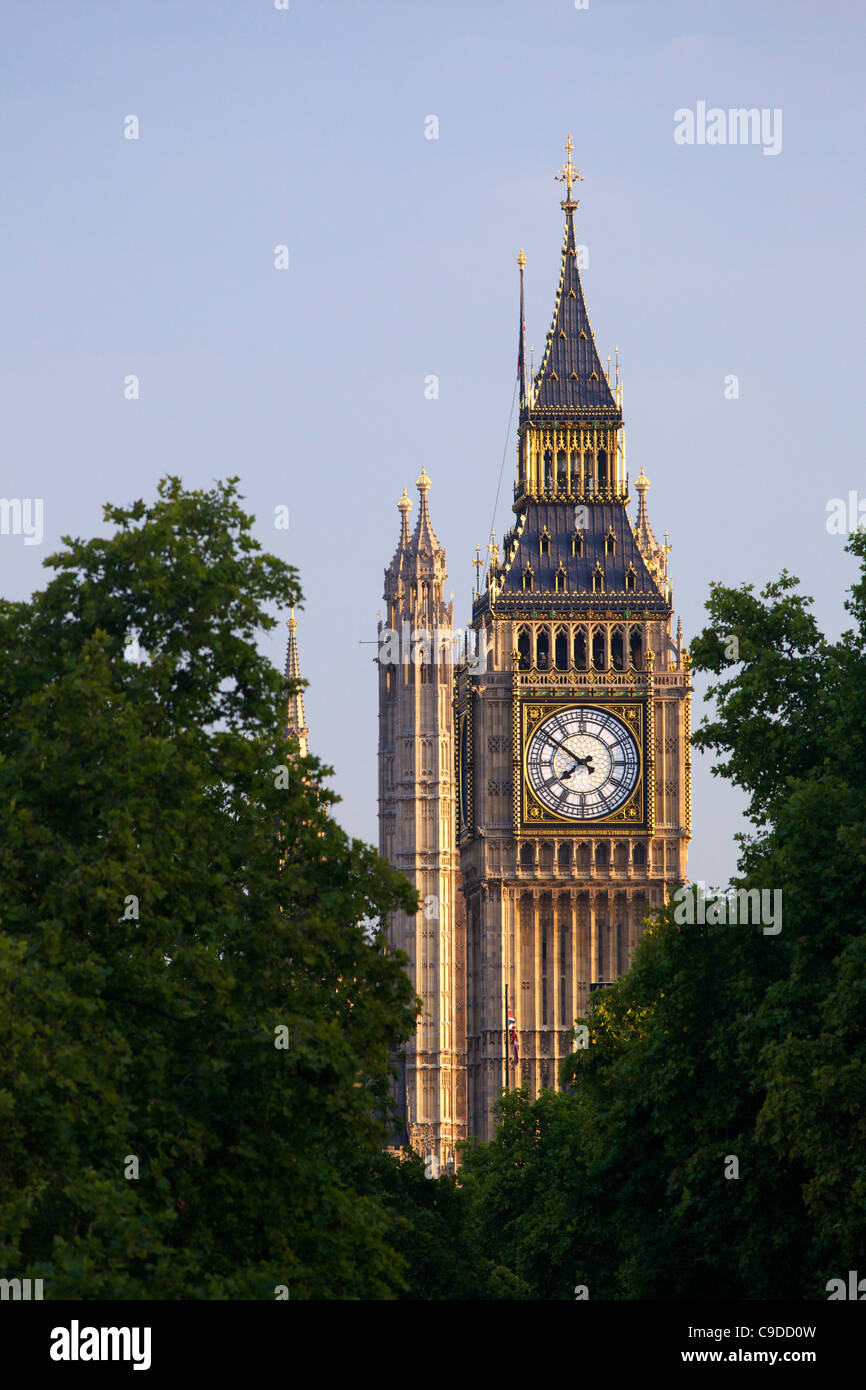 Big Ben clock tower in evening summer sunshine, Houses of Parliament, Westminster, London,  England, UK, United Kingdom, GB, Gre Stock Photo