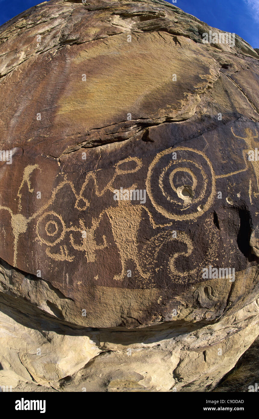 Carvings on a rock, Petroglyphs, Dinosaur National Monument, Utah, USA Stock Photo