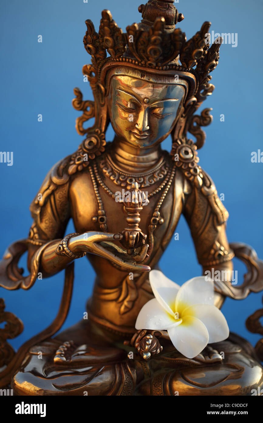 Buddha Vajrasattva holds the vajra in his right hand and a bell in his left hand; with plumeria frangipani flower. Stock Photo