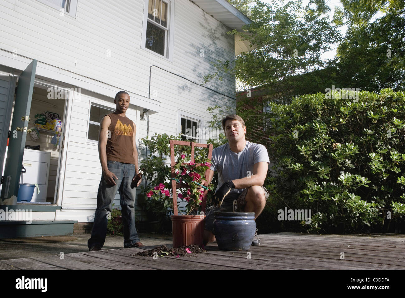 Young man moving plant to a new planter Stock Photo Alamy