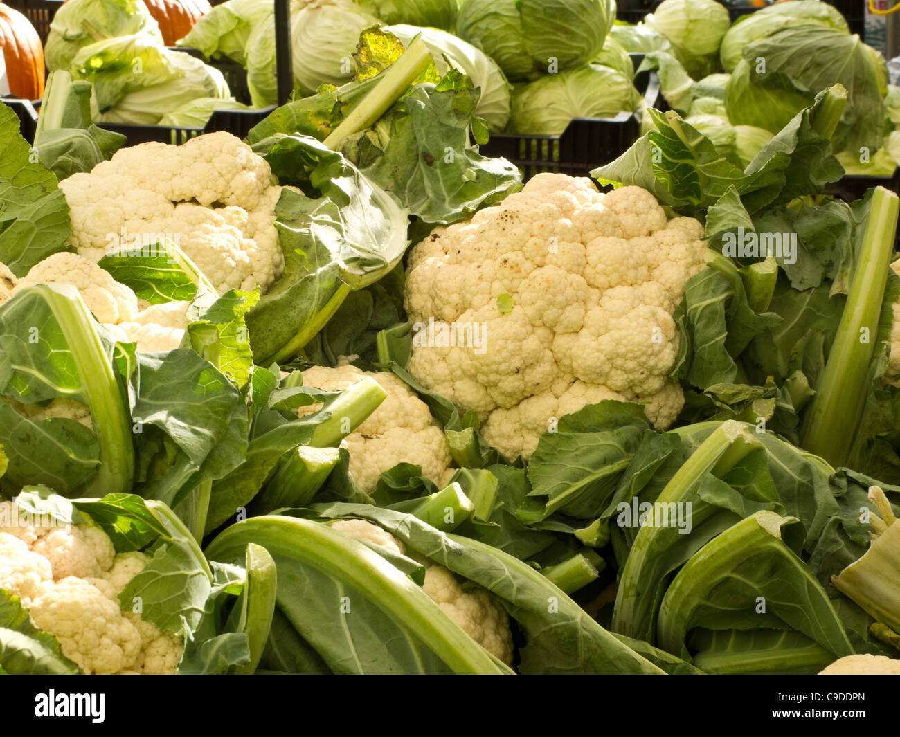 Cauliflower Heads, Farmers Market, NYC Stock Photo Alamy