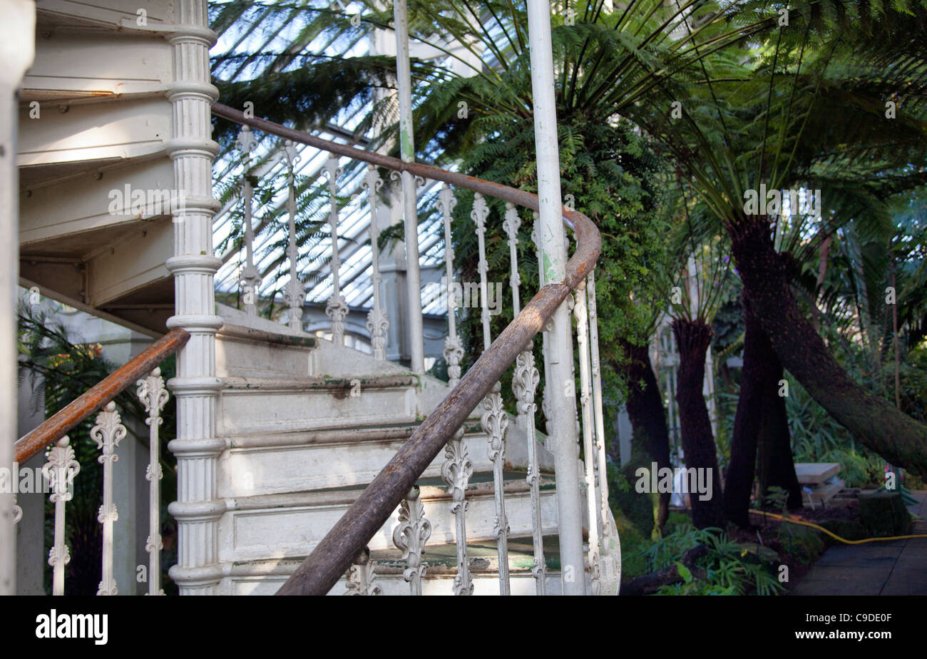 Old Victorian staircase in Temperate House - Kew Gardens Stock Photo